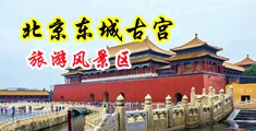 大屌插女生在线中国北京-东城古宫旅游风景区